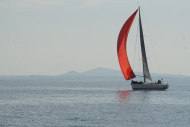 DSC08408_s