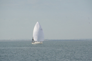 DSC08414_s