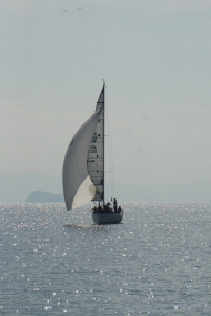 DSC08423_s