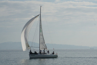 DSC08426_s