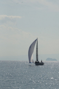 DSC08442_s