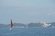DSC08444_s
