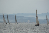 DSC08584_s
