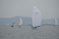 DSC08602_s