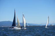 DSC08973_L