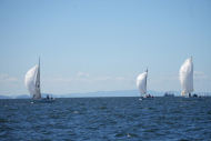 DSC09170_L