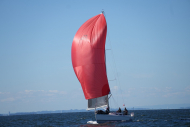 DSC09338_L