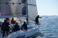DSC09446_L