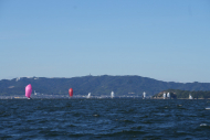 DSC09484_L