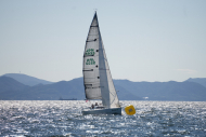 DSC09565_L
