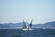 DSC09882_L