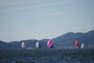 DSC09902_L