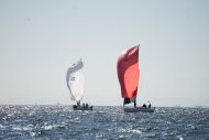 DSC09915_L