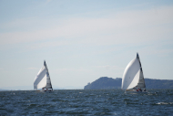DSC09942_L