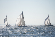 DSC09956_L