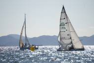 DSC09972_L