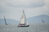 DSC02981