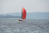 DSC03365
