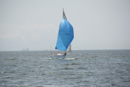 DSC03404