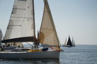 DSC00559
