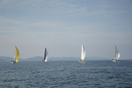 DSC00584