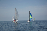 DSC00610