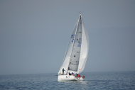DSC00667