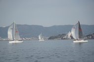 DSC00687