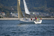 Z50_8249
