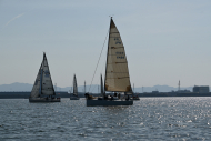 Z50_8266