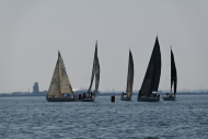 Z50_8289