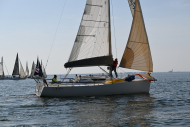 Z50_8318