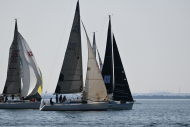 Z50_8332