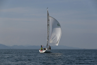 Z50_8344