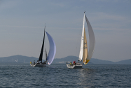 Z50_8345