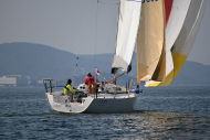 Z50_8347