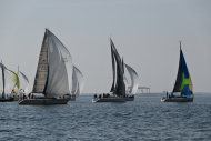 Z50_8358