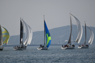 Z50_8385