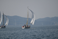 Z50_8388