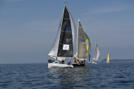 Z50_8446