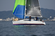 Z50_8461