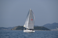 Z50_8468