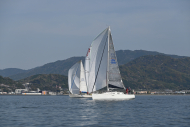 Z50_8474