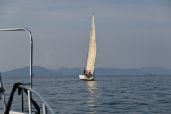 Z50_8476