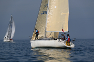 Z50_8499