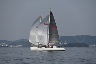 Z50_8509