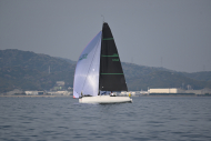 Z50_8514