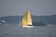 Z50_8515
