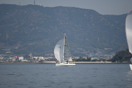 Z50_8517