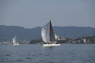 Z50_8519
